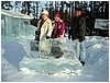 IMG_1457.jpg