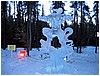 IMG_1505.jpg