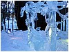 IMG_1517.jpg