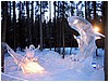 IMG_1520.jpg