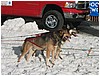 IMG_1003.JPG