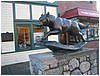 IMG_1105.JPG