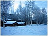 IMG_1346.jpg
