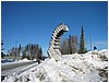 IMG_1275.JPG