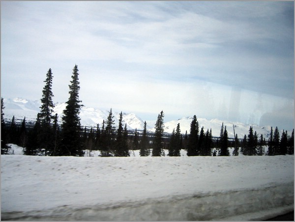IMG_1155.jpg