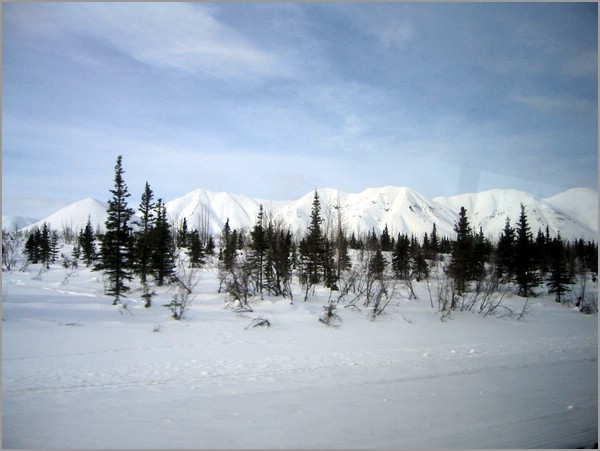 IMG_1162.jpg