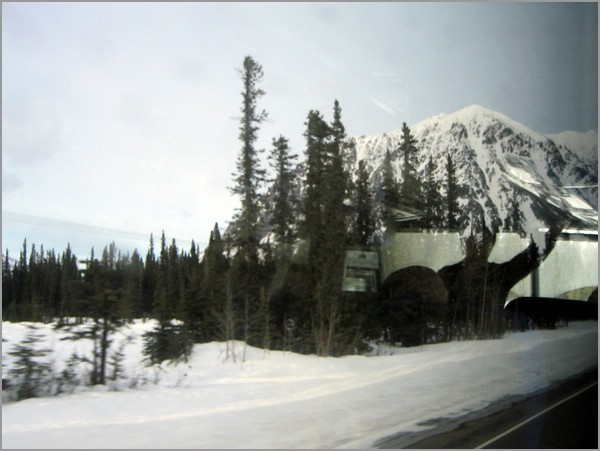 IMG_1179.jpg