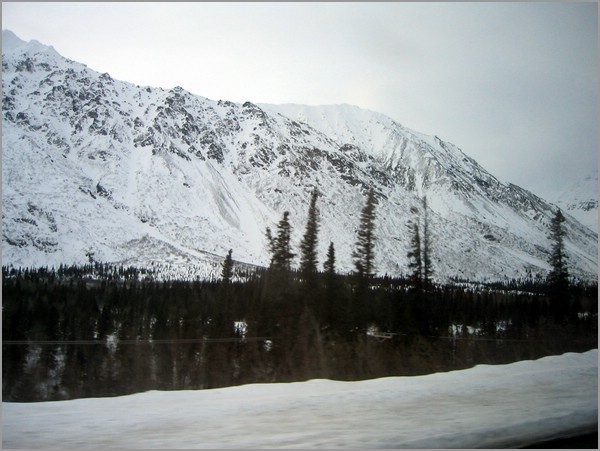 IMG_1182.jpg