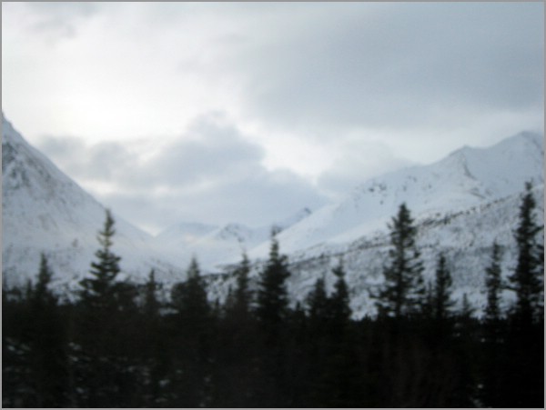 IMG_1184.jpg