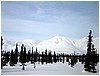 IMG_1161.jpg