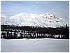 IMG_1168.jpg
