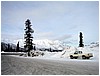 IMG_1170.jpg