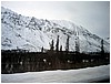 IMG_1182.jpg