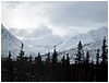 IMG_1184.jpg