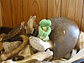 20070901_1259_007.JPG