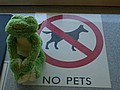 20070901_1300_008.JPG