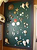 20070901_1300_009.JPG