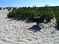 20070901_1545_013.JPG