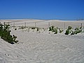 20070901_1547_014.JPG