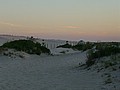 20070901_1924_079.JPG