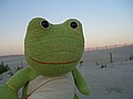 20070901_1925_081.JPG
