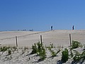 20070902_1104_104.JPG