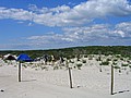 20070902_1109_105.JPG