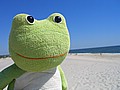 20070902_1110_106.JPG