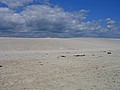 20070902_1125_127.JPG