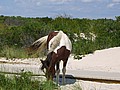 20070902_1241_147.JPG