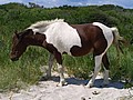 20070902_1242_149.JPG
