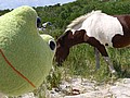 20070902_1242_150.JPG