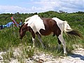20070902_1243_151.JPG