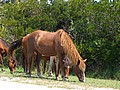 20070902_1309_153.JPG