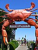 20070902_1336_154.JPG