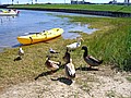20070902_1337_158.JPG