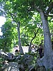 20070617_0001_049.JPG