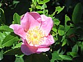 20070617_0025_067.JPG