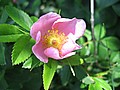 20070617_0025_068.JPG