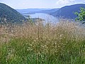 20070617_0045_076.JPG