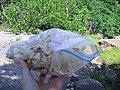 20070617_0114_079.JPG