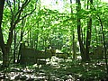 20070617_0252_090.JPG