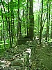 20070617_0253_091.JPG