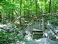 20070617_0332_109.JPG