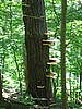 20070617_0348_110.JPG