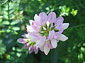 20070617_0409_113.JPG