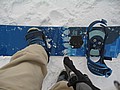 20070119_1328_003.JPG