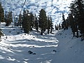 20070119_1554_050.JPG