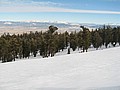 20070119_1721_108.JPG