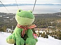 20070119_1917_149.JPG